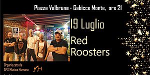19 luglio Red Roosters